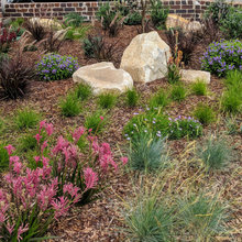 Side Garden