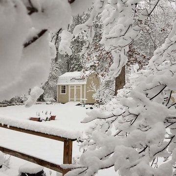 Classic Barn Shed