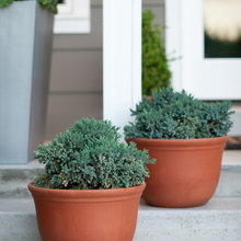 Planters