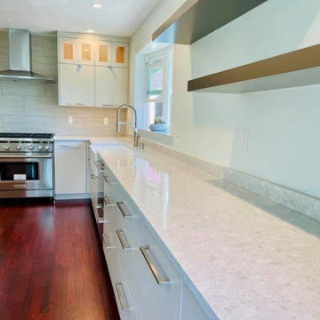 SEATTLE House Remodel