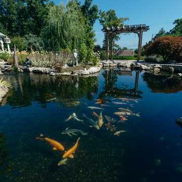Outdoor Koi Pond