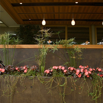 GARDEN VIEW TERRACE