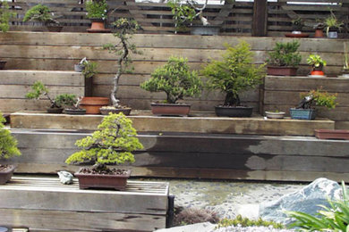 Bonsai Grow Display Garden