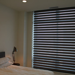 Hunter Douglas Pirouettes - Chicago - Window Treatments
