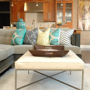 Transitional Living Room