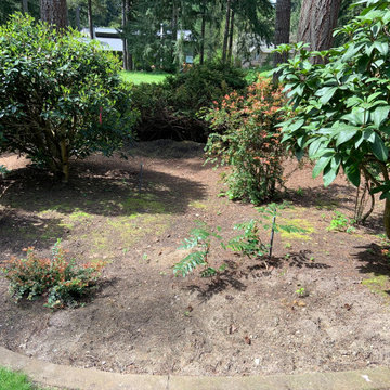 Garden setting in Canterwood