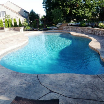 Upper Macungie freeform pool with sunshelf and retaining wall