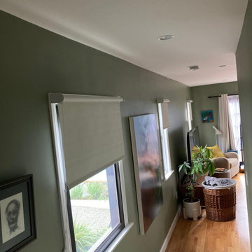 Unleash Elegance and Serenity: Master Blinds' Blackout Window Shades