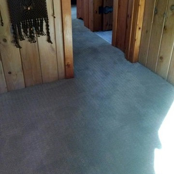 Caress Carpet by Shaw Floors