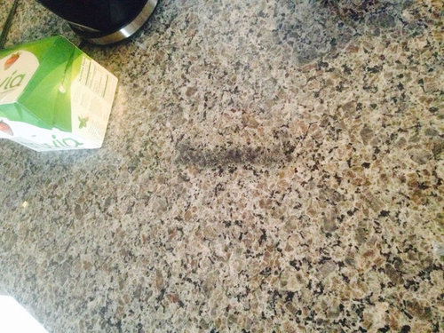 Flaw In Granite Counter Top