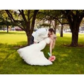 Alyssa Timperley's photo