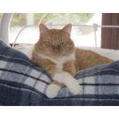 Pam Mueller Hendrickson's photo
