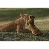 Robyn Thomas's photo