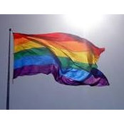 Lupe Camorlinga's photo