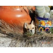 Diane Tinker's photo