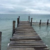Nathan Johnson's photo