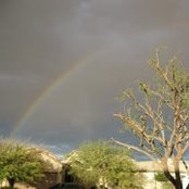 Mary Zemo-Johnson's photo