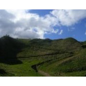 Dolores Dolfi's photo