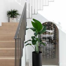 Under stairs wine cellar