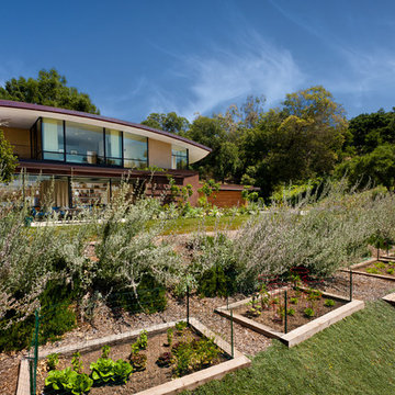 Coyote Residence