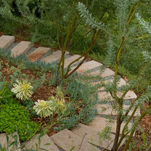 outside yard ideas