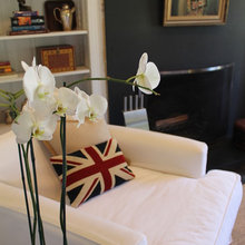 Family Room Ideas