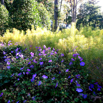 Plantings