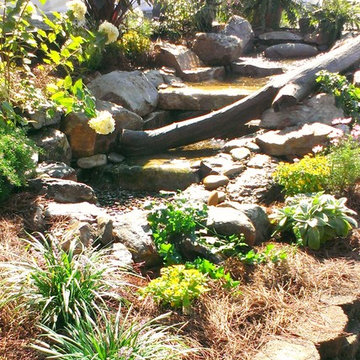 Ponds & Streams