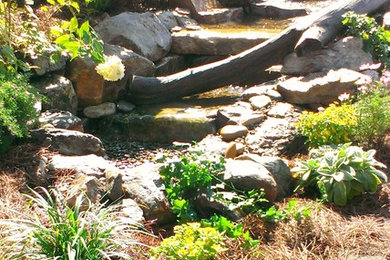 Inspiration for a landscaping in Charlotte.