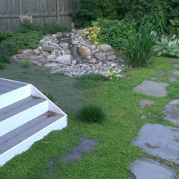 Rainwater Harvesting System & Planting