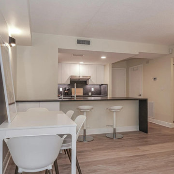 Condo Kitchen Renovation