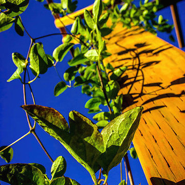 Bothell Cedar Trellis
