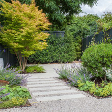 Barbara's garden - new ideas