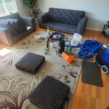 Area Rug Sofa Love Seat and Stairs Steam Cleaning Located in Surrey BC Canada