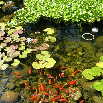 Water Features