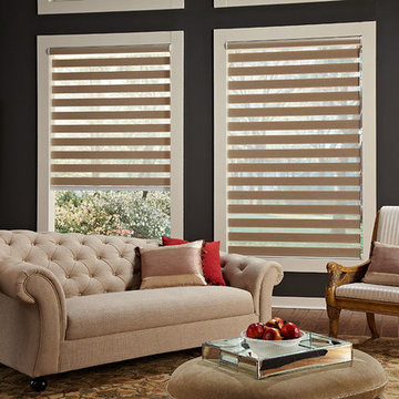 Allure Transitional Shades