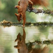 Monica Rdgues's photo