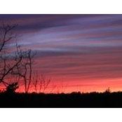 Julie Carter's photo