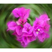 Jean Payne's photo
