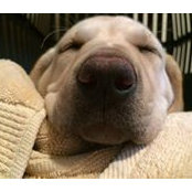 Lucy Knorr's photo