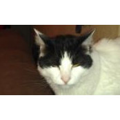 Sue Anne Edford's photo