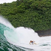 Luke Walsh's photo