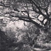 Pimm Pimchanok's photo