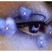 Violet Violet's photo