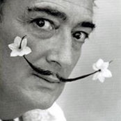 Bill Steigers foto