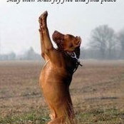 Foto von Carole Johnson