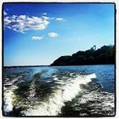 Ben Brown's photo