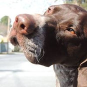 Eileen Drescher's photo