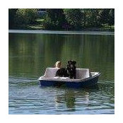 Kay Bonney's photo