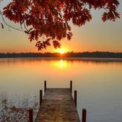 Foto von Kathy Powers